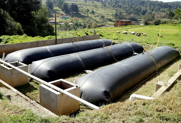 Escuelas utilizarán tecnología ecológica