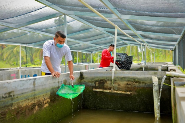 La acuicultura, una herramienta de superación