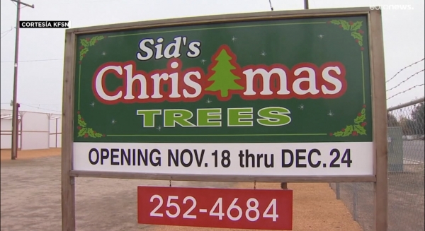 Escasez de árboles de Navidad en California