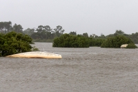 1 muerto y 10 heridos por paso de tormenta Elsa en EE.UU.