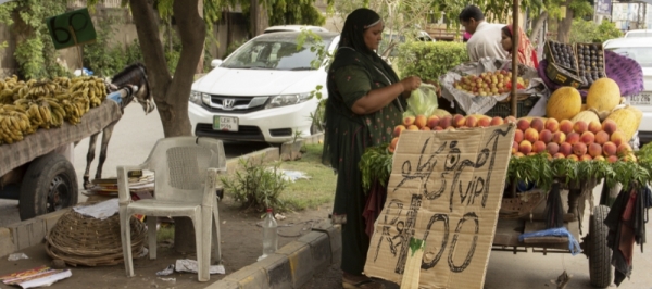 Mejorar el financiamiento de sistemas alimentarios para curar al planeta