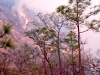 Continúan labores de extinción de incendio forestal en Morazán