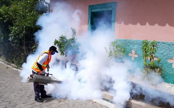 Reducción histórica en casos de dengue y otras enfermedades