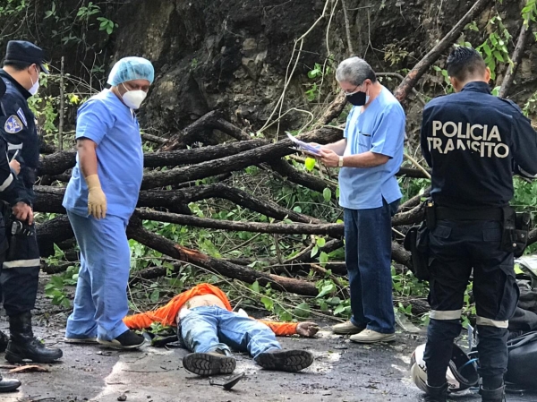 Empleado del FOVIAL muere al chocar contra un árbol