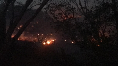 Incendio forestal en el Puerto de La Libertad