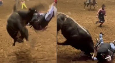 Padre salva a su hijo durante rodeo