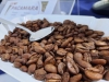 Productor de café en Chalatenango gana Certamen Taza de Excelencia