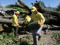 MOP-FOVIAL atiende 20 incidencias a consecuencia de lluvias de últimas horas