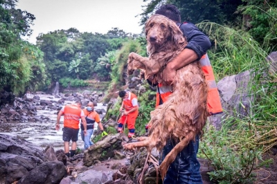 Salvan a mascota de la creciente de un rio