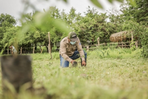 MARN reforesta área de conservación Los Cóbanos