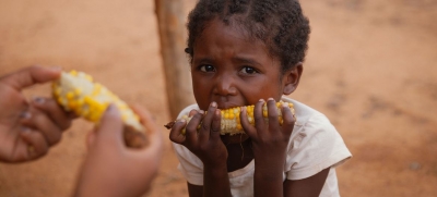 El hambre alcanza ya a 193 millones de personas en el mundo