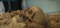Realizan tomografía a una momia egipcia