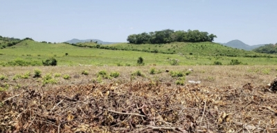 Inicia la época seca