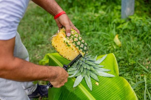 Productos de piña en Domingos Gastronómicos de Santa María Ostuma