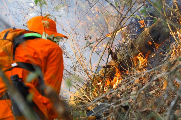 Expectativas sobre comisión contra incendios forestales