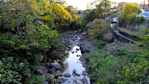 Incertidumbre por el cambio de magistrado de Cámara Ambiental