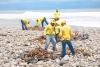 Limpian la playa El Tunco