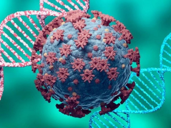 Identifican nueva variante del coronavirus en Brasil