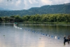 Controlan el avance de plantas invasoras en Embalse Cerrón Grande