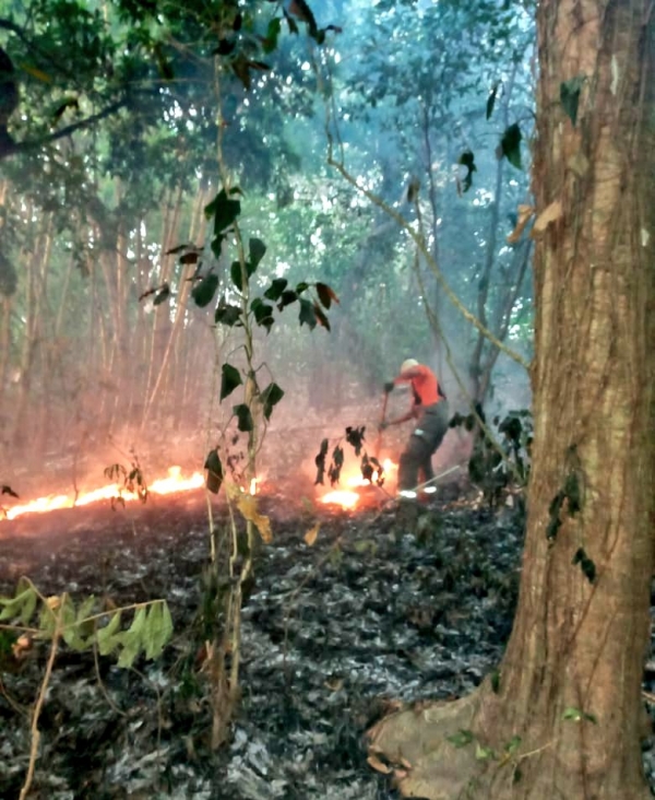 Trabajan para prevenir incendios cerca de hidroelétricas