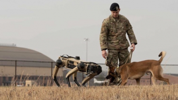 Perros robot podrían patrullar la frontera entre EUA y México