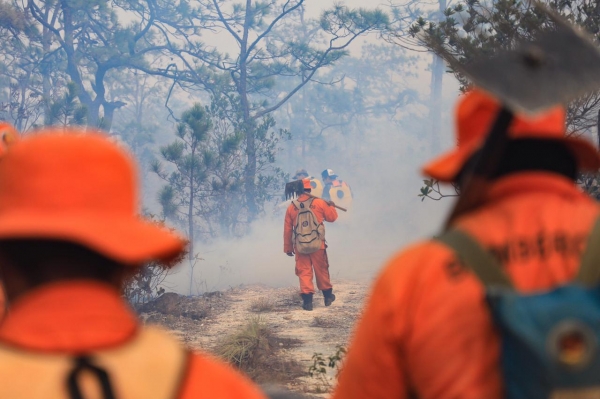 Logran sofocar el fuego en cerro de Morazán